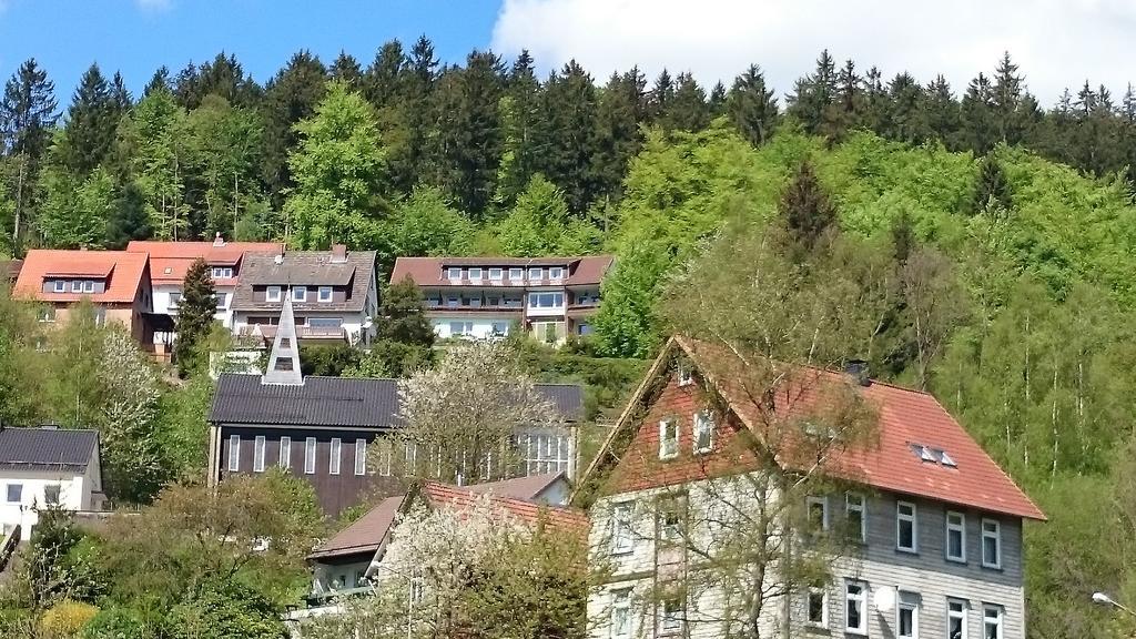 Pension Talblick Bad Grund Eksteriør bilde
